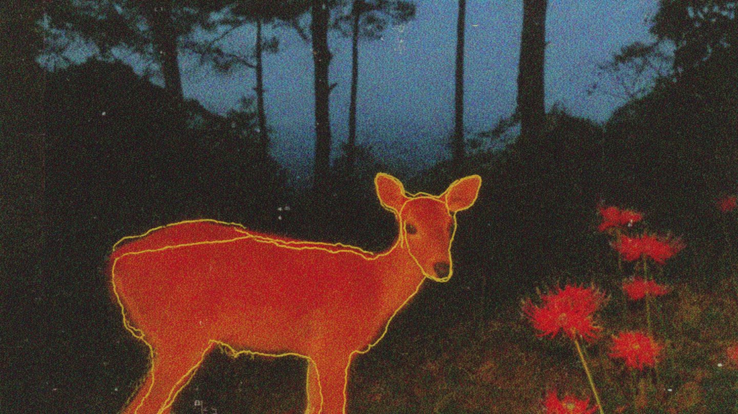 Seedance 2.0 video: --sref 2512868184 411148431