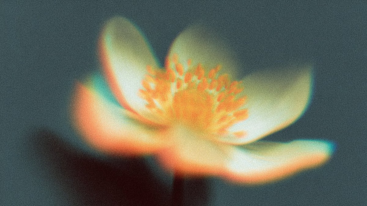 Seedance 2.0 video: sref 3329821507 2999658516